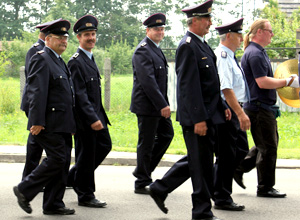 Schmetterling Pfauenauge und Aster