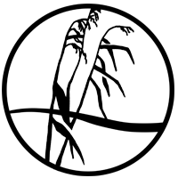 igel icon logo jetsch verein